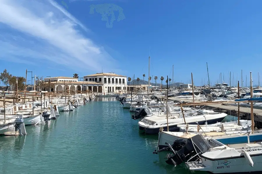 mini guide to puerto pollensa