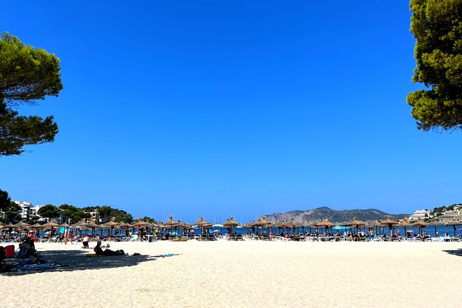 Top 23 things to do in Santa Ponsa Mallorca in 2024
