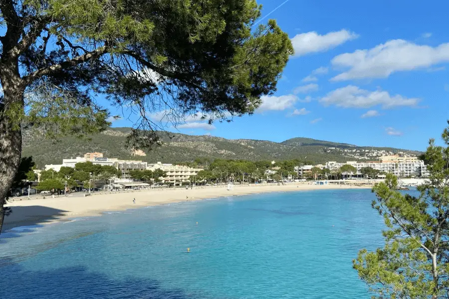 palmanova beach mallorca
