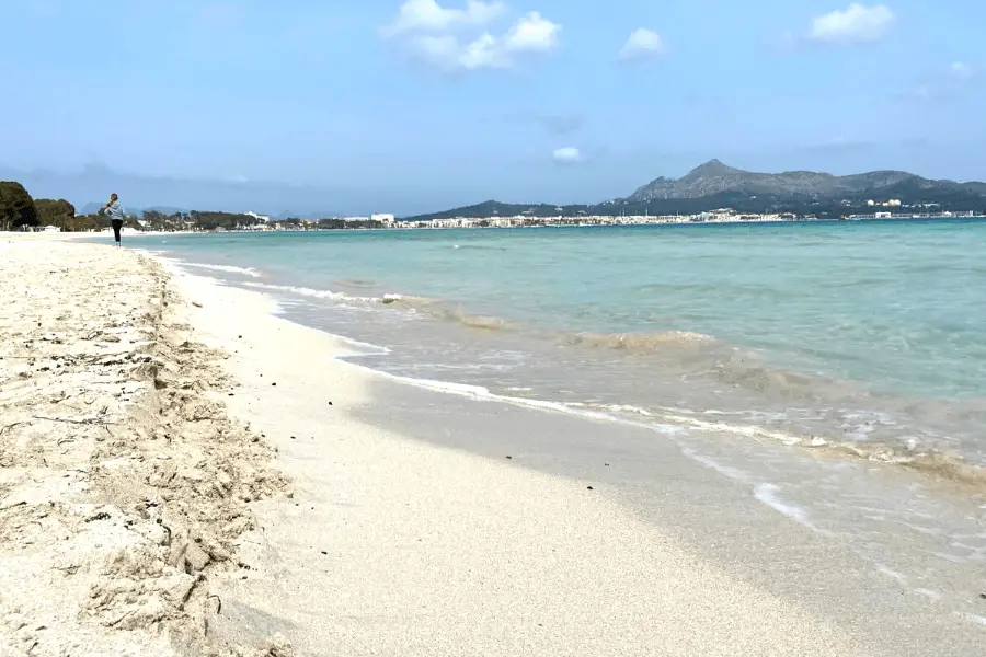alcudia beach mallorca