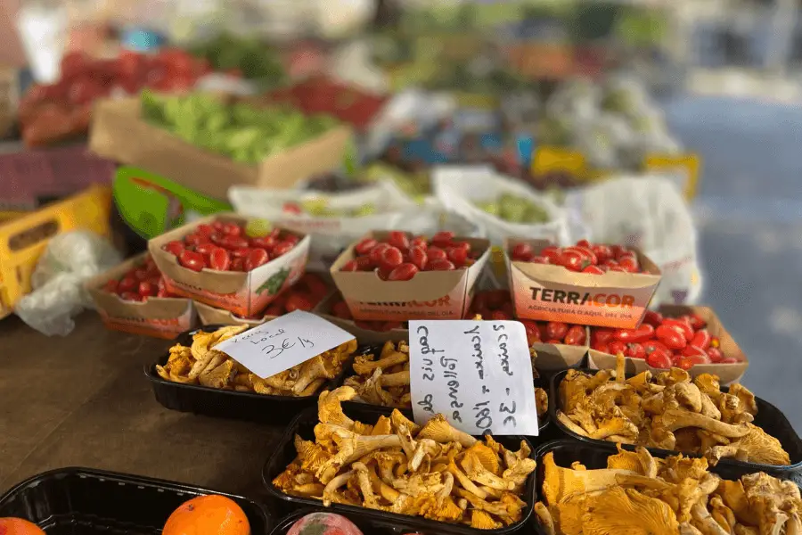 Puerto Pollensa Market