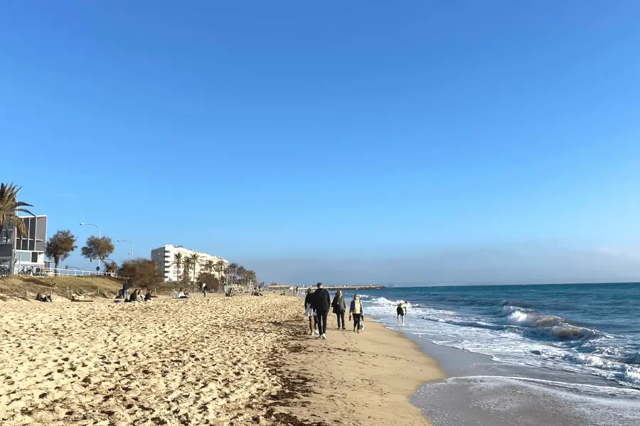 Palma city beach