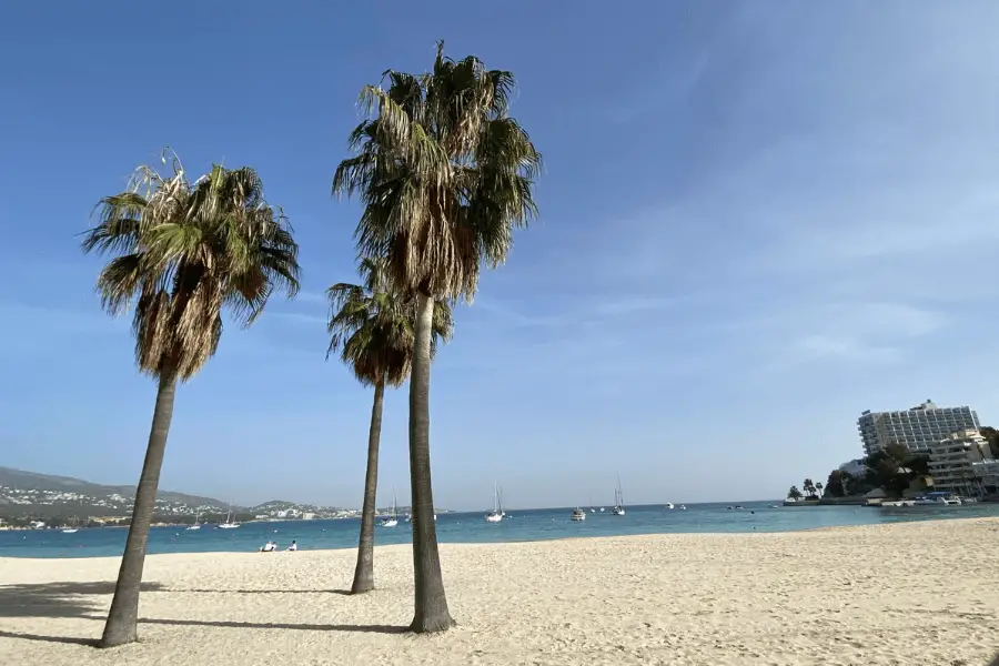 Son Matias Beach Palmanova