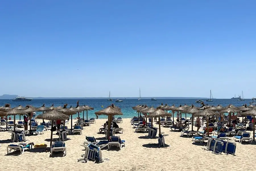 Airport chaos is not affecting all flights