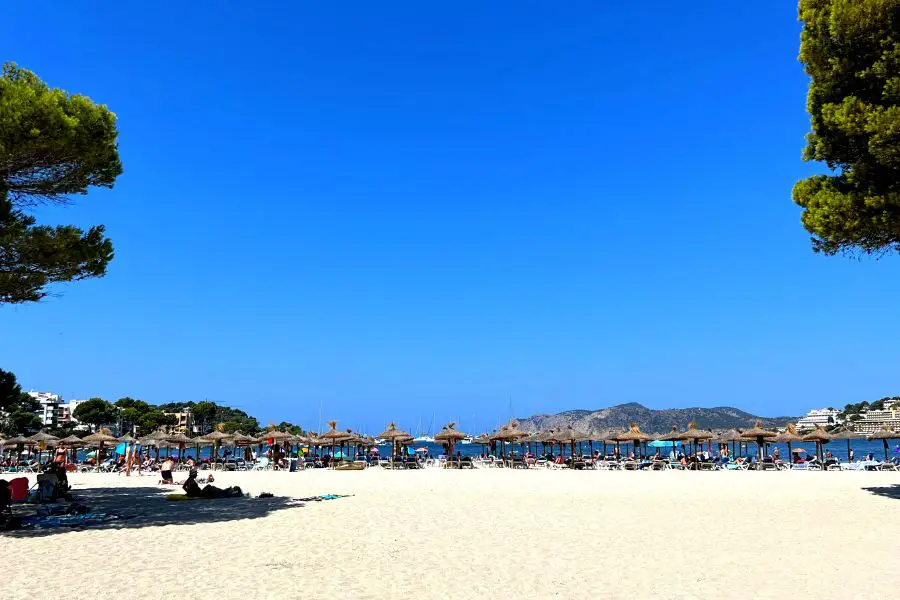 The Ultimate Travel Guide to Santa Ponsa Mallorca