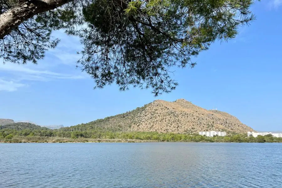 s'Albufera Nature reserve