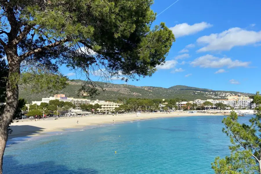 Palmanova at Christmas in Mallorca