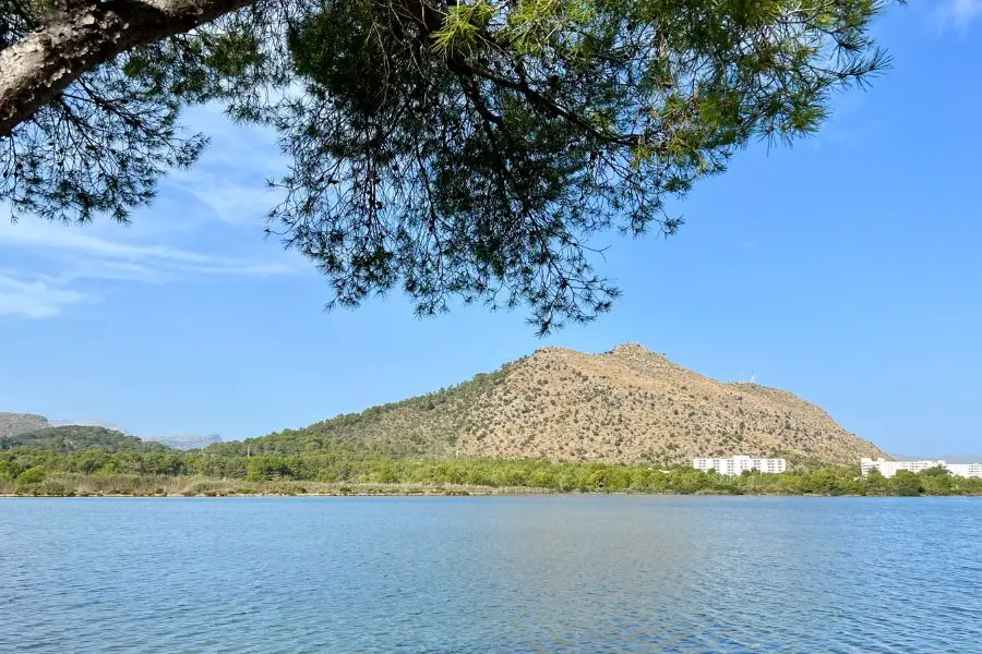 Guide to Playa de Muro Es Lllac Gran Mallorca