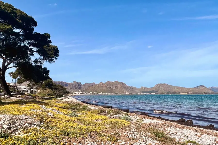 Spring Weather in Mallorca