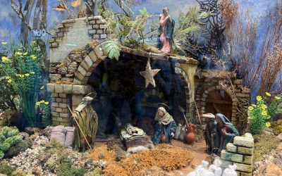 Explore Festive Nativity Scenes in Palma de Mallorca