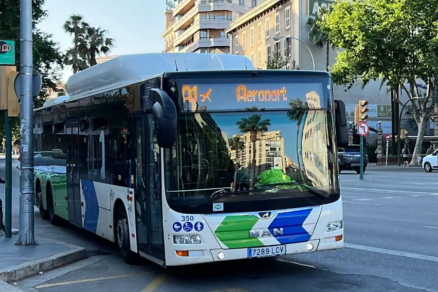 Guide to EMT Palma buses