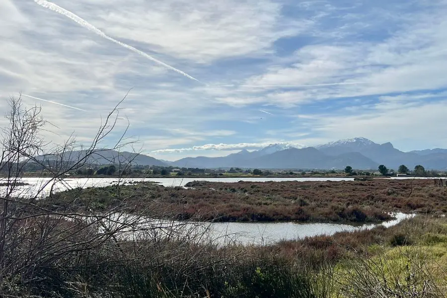 Albufera Natural Park Mallorca