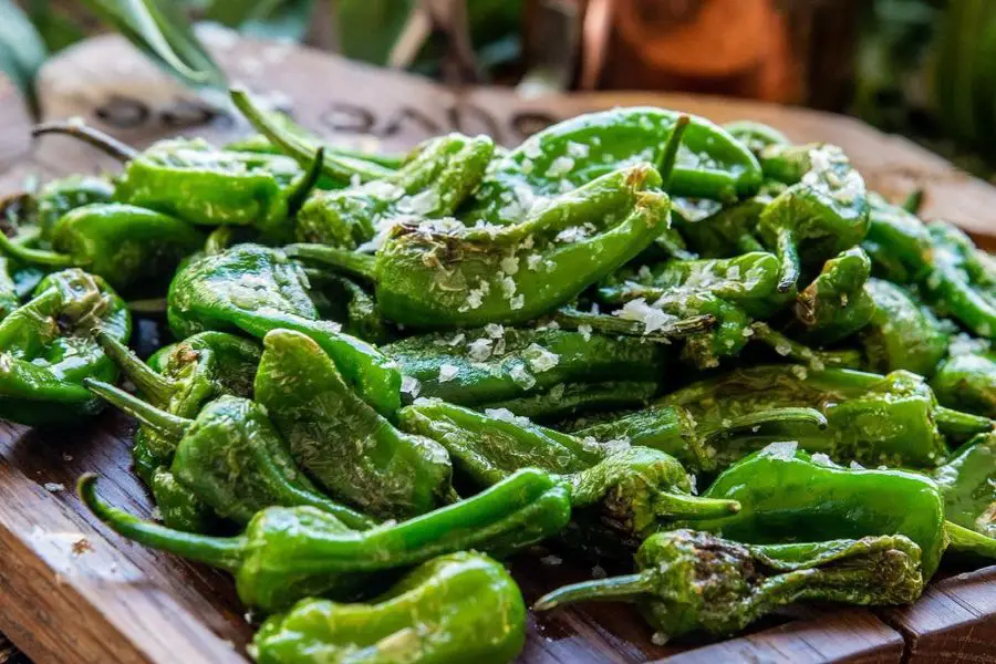 pimientos padron olive tree restaurant mallorca