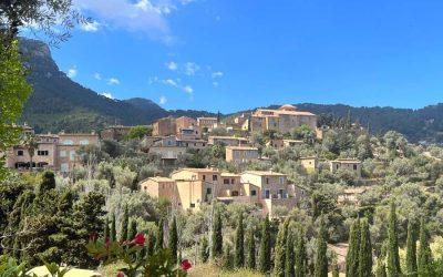 A Guide to Deia in 2024