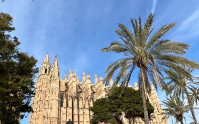 15 Things to Do in Palma de Mallorca