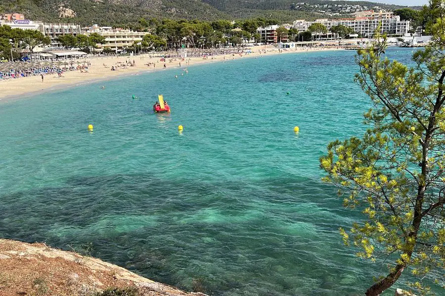 Palmanova Mallorca