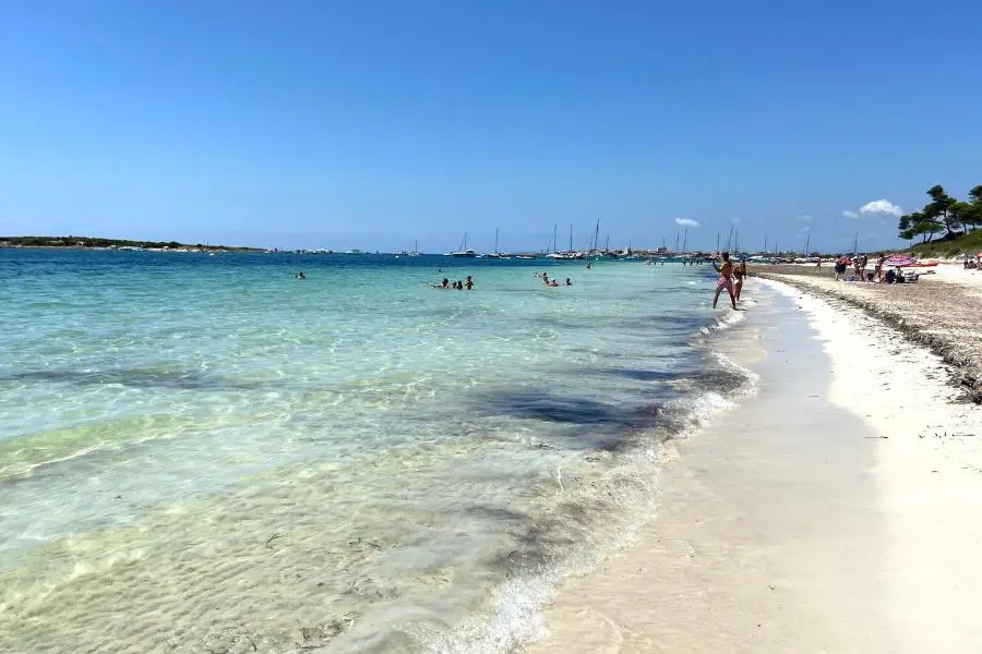 The virgin white sands of Es Carbo beach, Mallorca