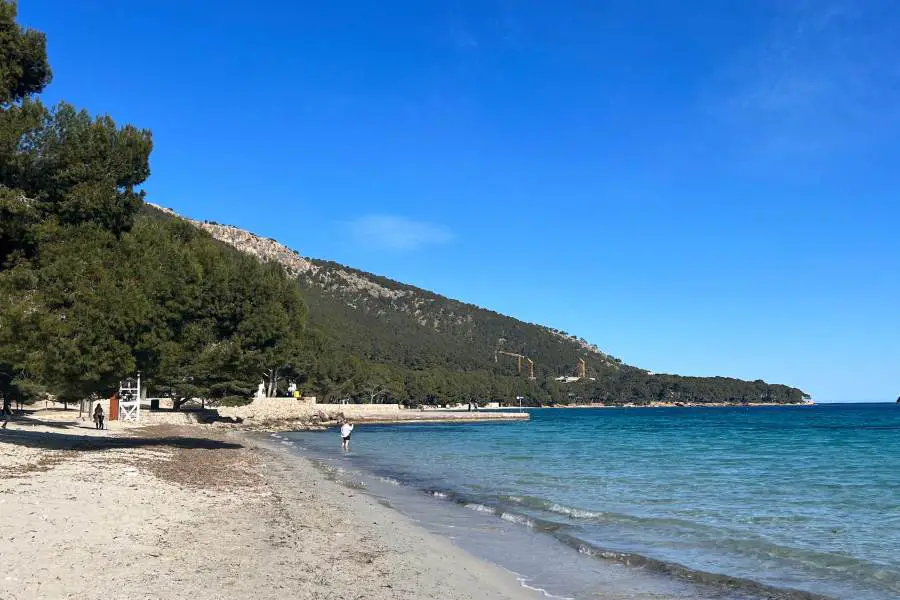 Playa Formentor Beach Mallorca