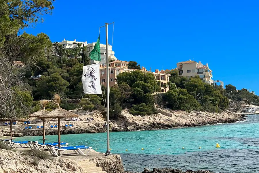 jellyfish flags in mallorca