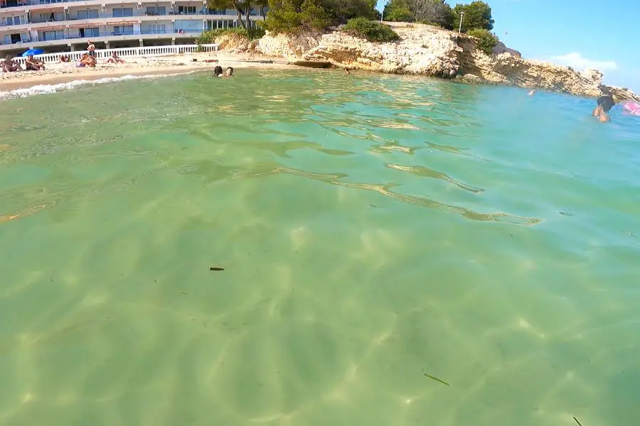 Green sea in Palmanova mallorca