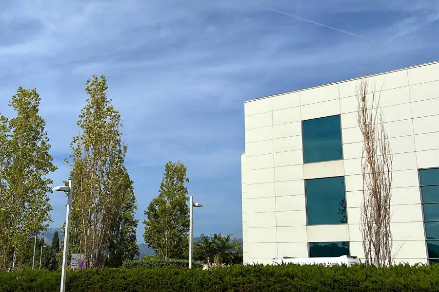 Son Espaces hospital, Mallorca