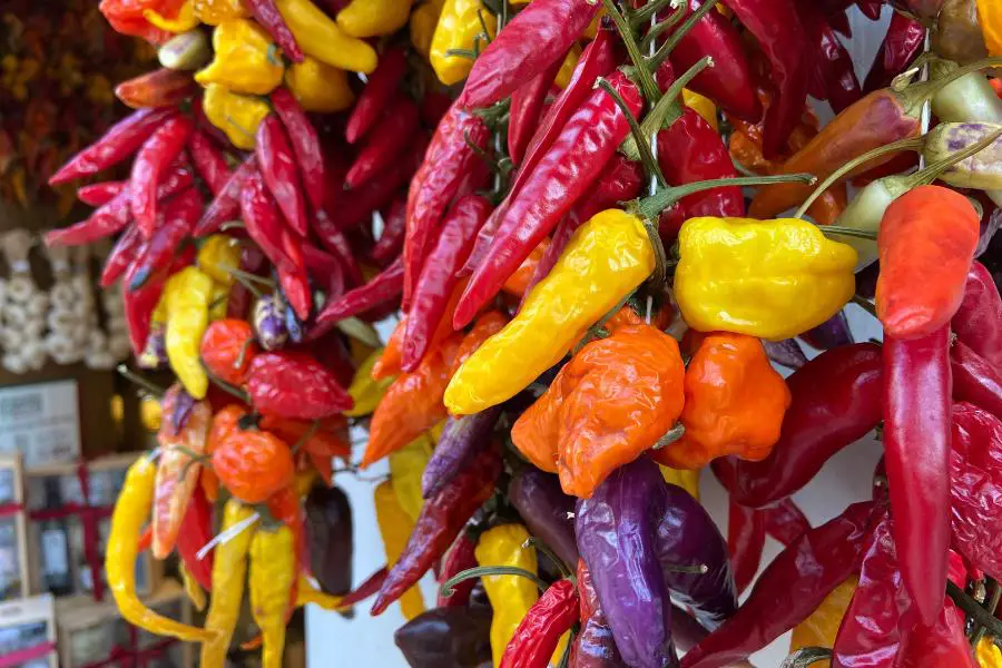 markets in mallorca in november