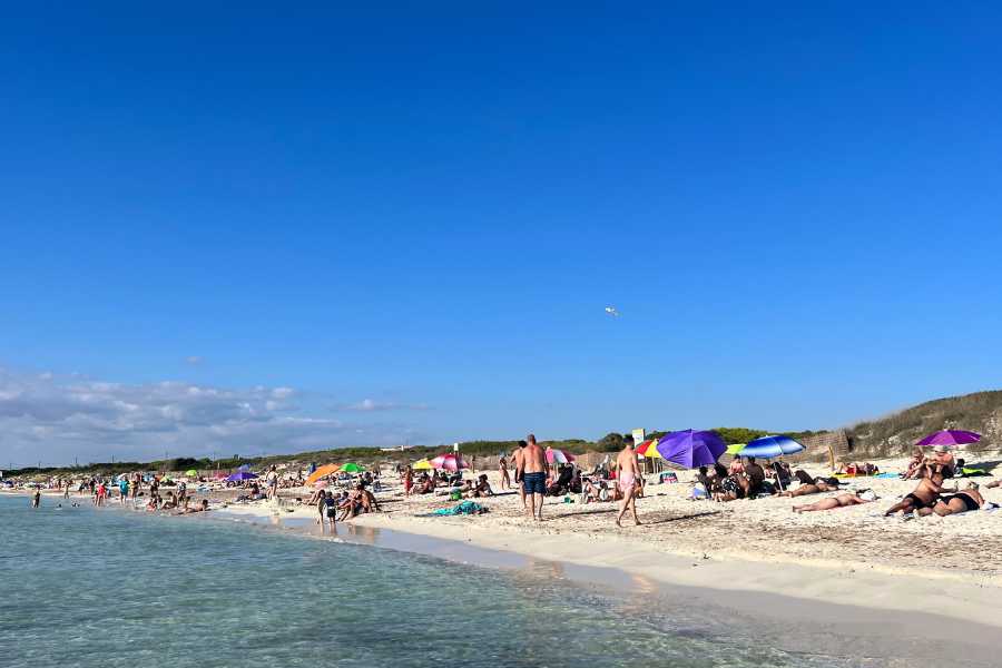 es trenc beach mallorca