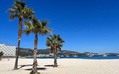 10 Travel Tips – Mallorca in March 2024