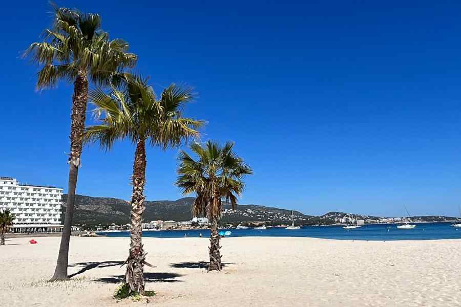 10 Travel Tips – Mallorca in March 2024